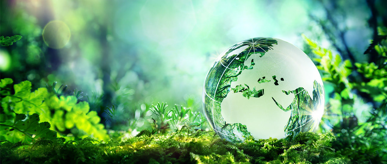 Environmental Services